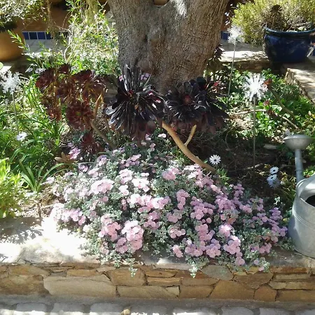 Bed & Breakfast - Chambres D'hotes Castelmau Le Lavandou