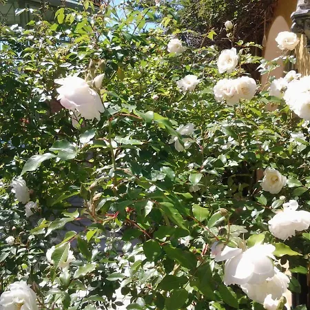 Bed & Breakfast - Chambres D'hotes Castelmau