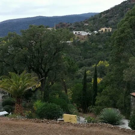 - Chambres D'hotes Castelmau Le Lavandou